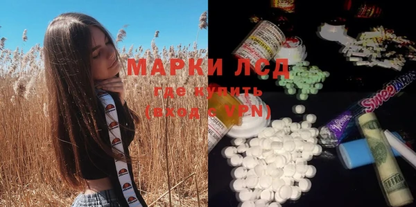 стаф Михайлов