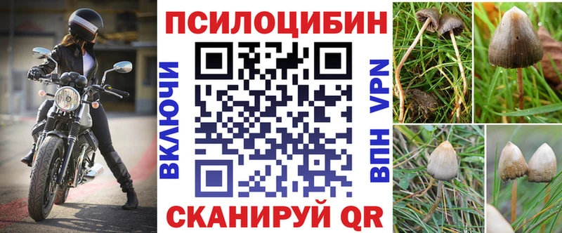 Псилоцибиновые грибы мухоморы  купить  цена  гидра ССЫЛКА  Кириши 