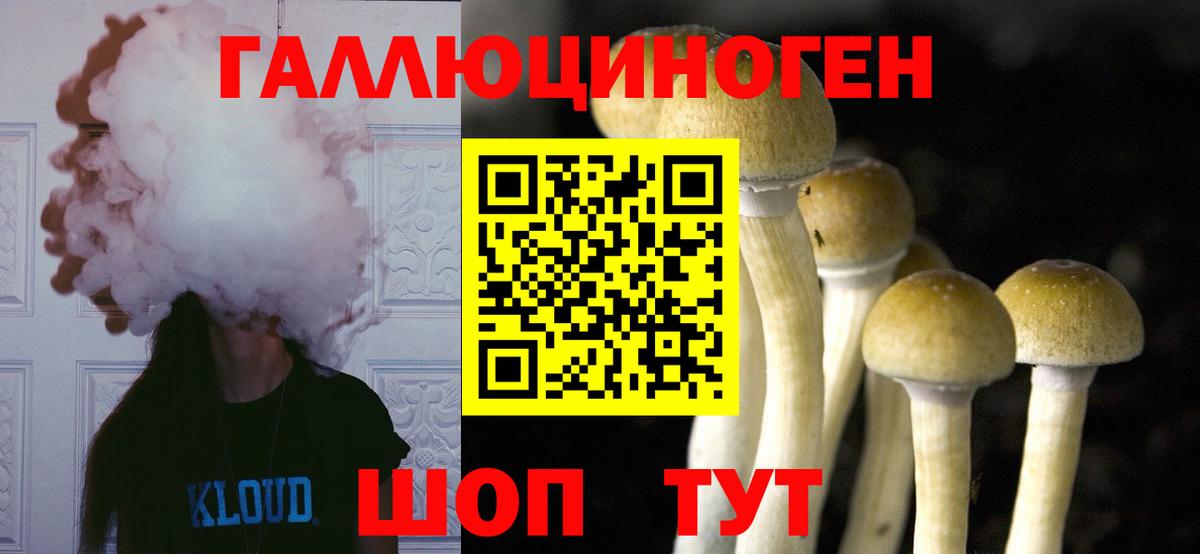 Псилоцибиновые грибы Cubensis Кириши