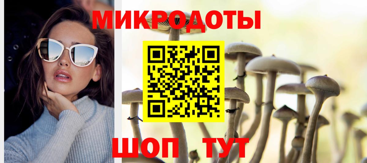 Кириши  Галлюциногенные грибы прущие грибы  Вход с VPN 