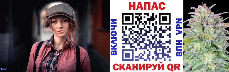 Конопля планчик  MEGA ссылки  Кириши 